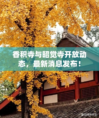 香积寺与昭觉寺开放动态，最新消息发布！