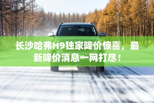 长沙哈弗H9独家降价惊喜，最新降价消息一网打尽！