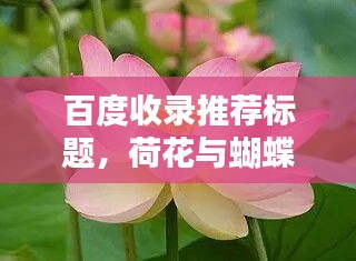 百度收录推荐标题，荷花与蝴蝶的美丽邂逅，惊艳你的视觉盛宴！