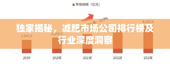 独家揭秘，减肥市场公司排行榜及行业深度洞察