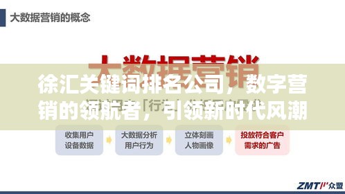 徐汇关键词排名公司，数字营销的领航者，引领新时代风潮