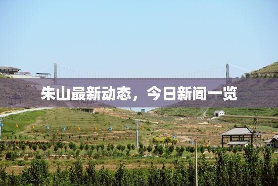 朱山最新动态，今日新闻一览