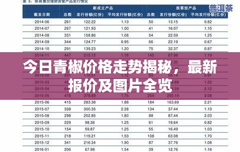 今日青椒价格走势揭秘，最新报价及图片全览