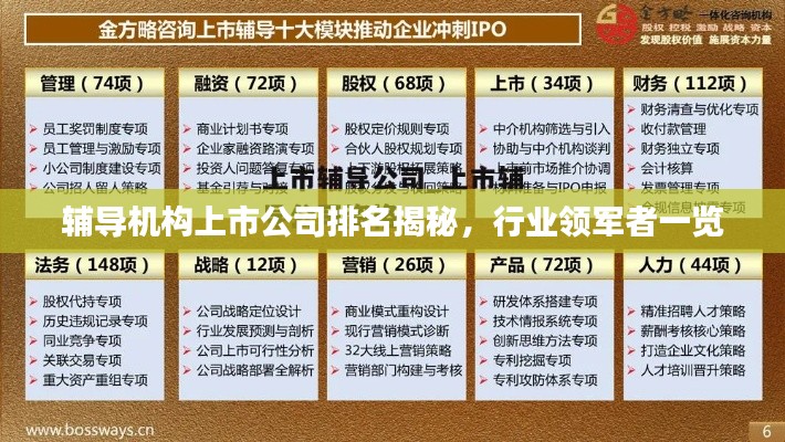 辅导机构上市公司排名揭秘，行业领军者一览
