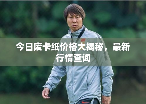 今日废卡纸价格大揭秘，最新行情查询