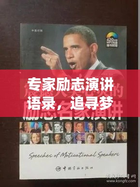 专家励志演讲语录，追寻梦想的智慧箴言与力量之源