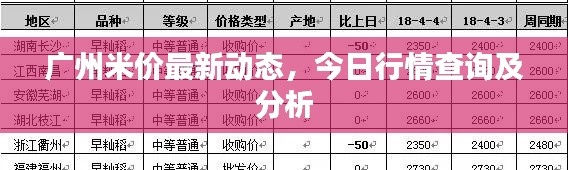 广州米价最新动态，今日行情查询及分析