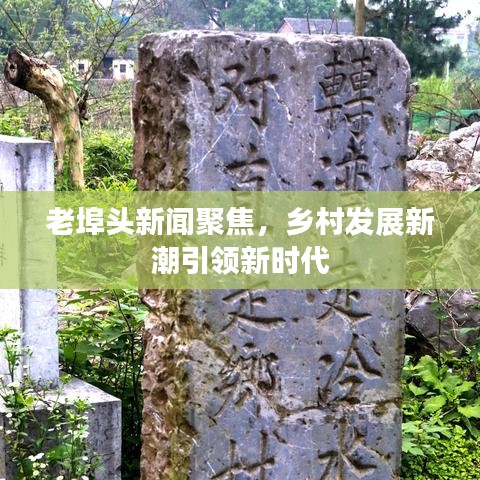 老埠头新闻聚焦，乡村发展新潮引领新时代