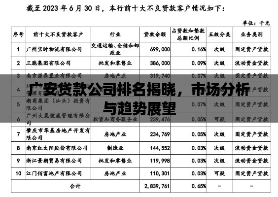 广安贷款公司排名揭晓，市场分析与趋势展望