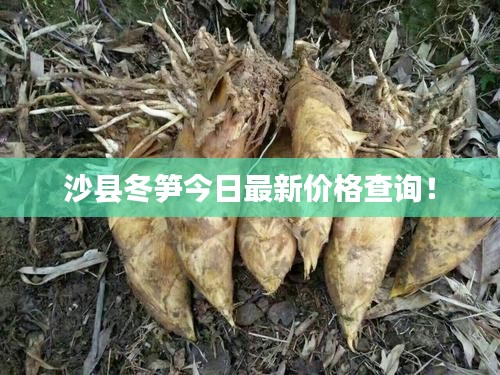电视机 第63页