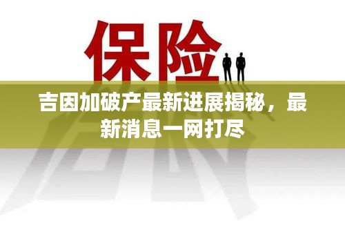 吉因加破产最新进展揭秘，最新消息一网打尽