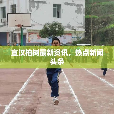 宣汉柏树最新资讯，热点新闻头条