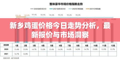 新乡鸡蛋价格今日走势分析，最新报价与市场洞察