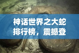 神话世界之大蛇排行榜，震撼登场！