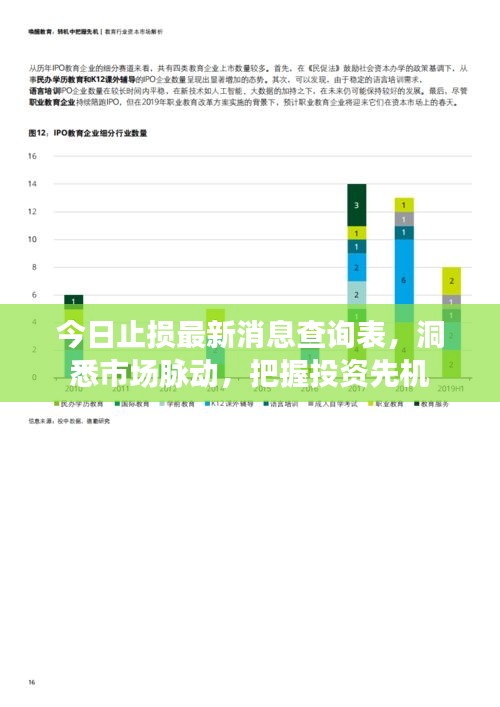 今日止损最新消息查询表，洞悉市场脉动，把握投资先机