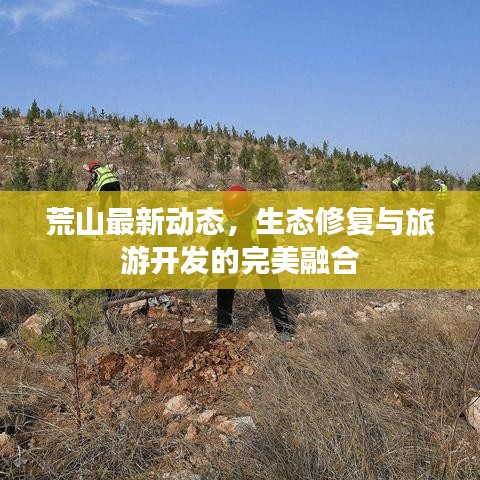荒山最新动态，生态修复与旅游开发的完美融合