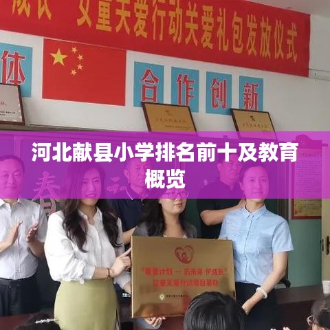河北献县小学排名前十及教育概览