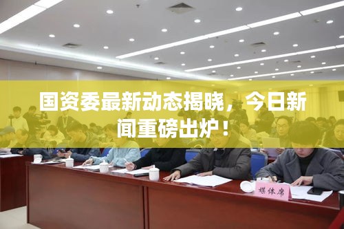 国资委最新动态揭晓，今日新闻重磅出炉！