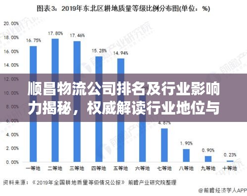 顺昌物流公司排名及行业影响力揭秘，权威解读行业地位与影响力分析
