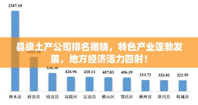 县级土产公司排名揭晓，特色产业蓬勃发展，地方经济活力四射！