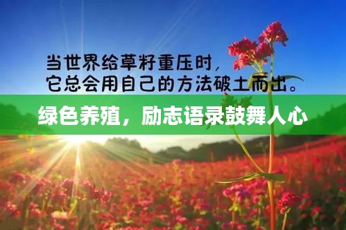 绿色养殖，励志语录鼓舞人心