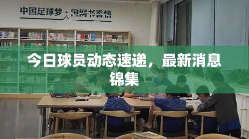 今日球员动态速递，最新消息锦集