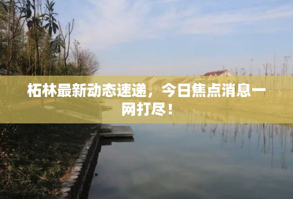 柘林最新动态速递，今日焦点消息一网打尽！