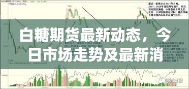 白糖期货最新动态，今日市场走势及最新消息速递