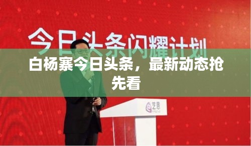 白杨寨今日头条，最新动态抢先看