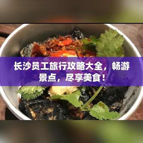 长沙员工旅行攻略大全，畅游景点，尽享美食！