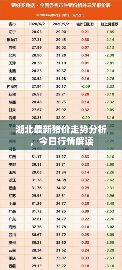 湖北最新猪价走势分析，今日行情解读