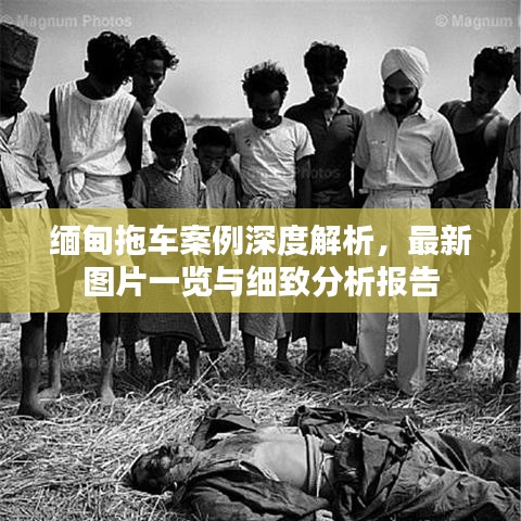 缅甸拖车案例深度解析，最新图片一览与细致分析报告