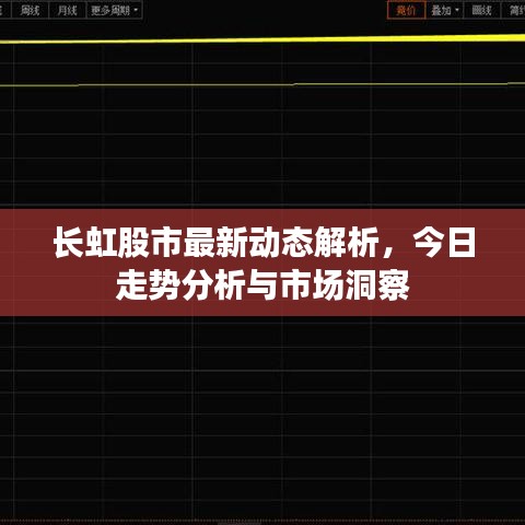 长虹股市最新动态解析，今日走势分析与市场洞察