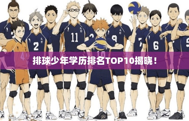 排球少年学历排名TOP10揭晓！