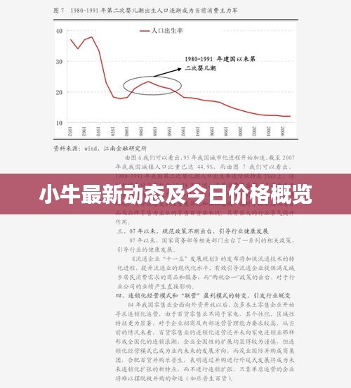 小牛最新动态及今日价格概览