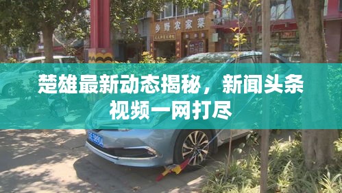 楚雄最新动态揭秘，新闻头条视频一网打尽