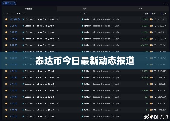 泰达币今日最新动态报道
