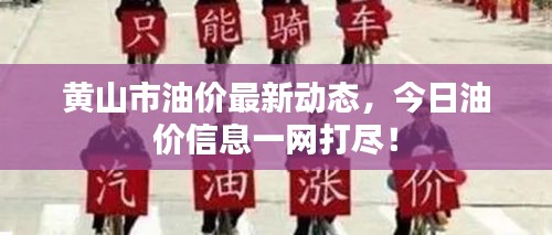 黄山市油价最新动态，今日油价信息一网打尽！