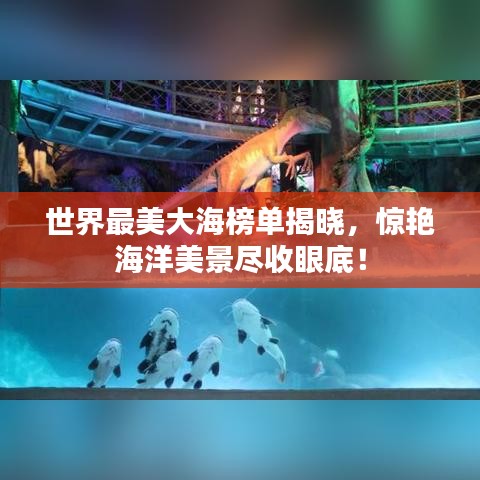 世界最美大海榜单揭晓，惊艳海洋美景尽收眼底！