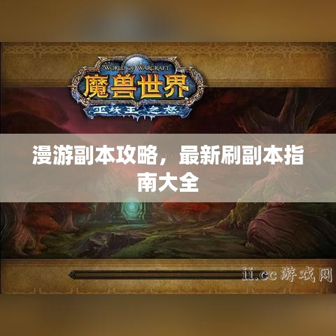 漫游副本攻略，最新刷副本指南大全