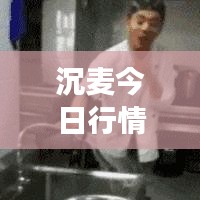 沉麦今日行情走势深度解析，最新市场分析揭秘！