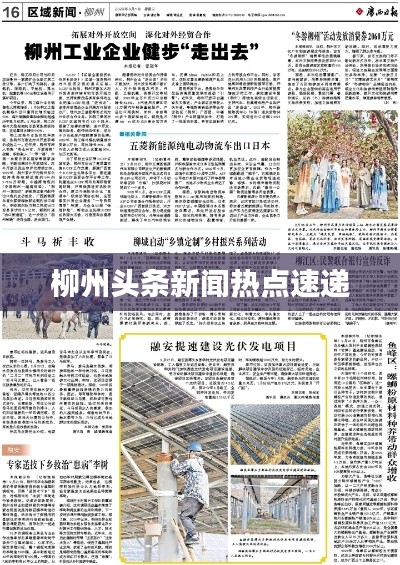 柳州头条新闻热点速递