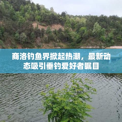 商洛钓鱼界掀起热潮，最新动态吸引垂钓爱好者瞩目