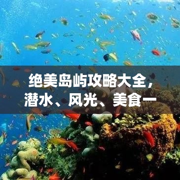 绝美岛屿攻略大全，潜水、风光、美食一网打尽！