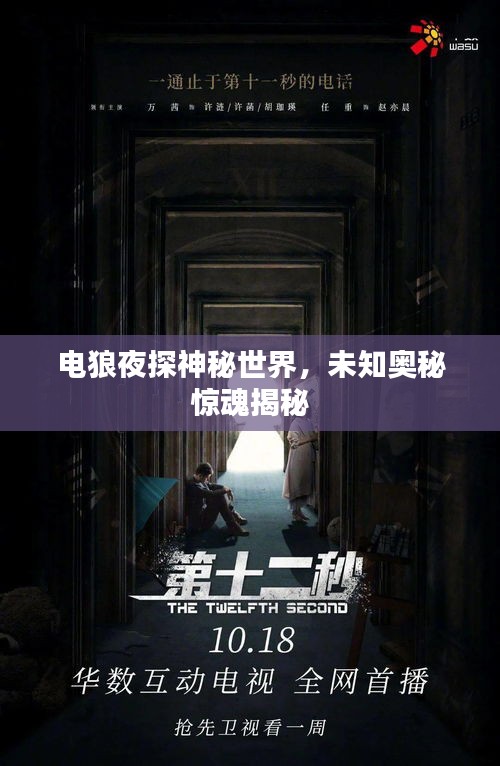 电狼夜探神秘世界，未知奥秘惊魂揭秘