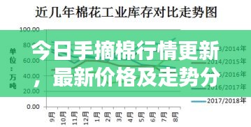 今日手摘棉行情更新，最新价格及走势分析