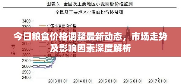 今日粮食价格调整最新动态，市场走势及影响因素深度解析