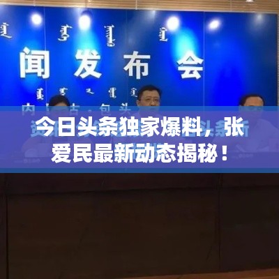 今日头条独家爆料，张爱民最新动态揭秘！