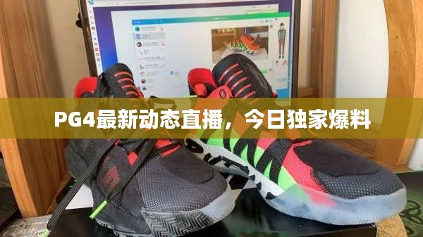PG4最新动态直播，今日独家爆料