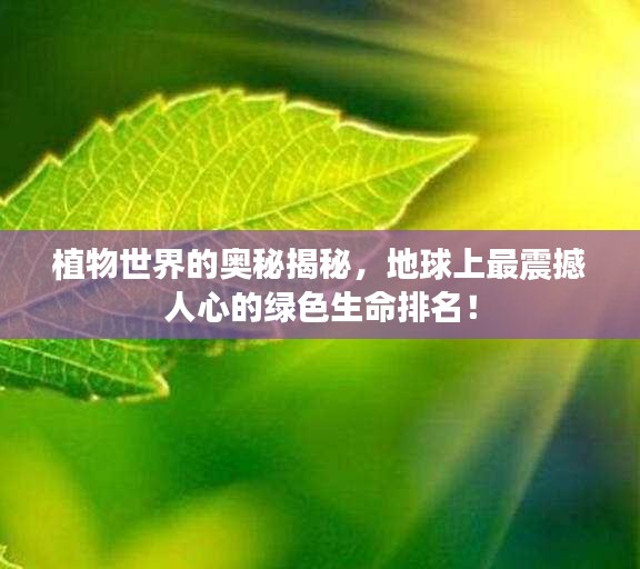 植物世界的奥秘揭秘，地球上最震撼人心的绿色生命排名！